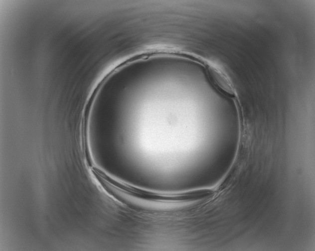 X0000080131295200612081220