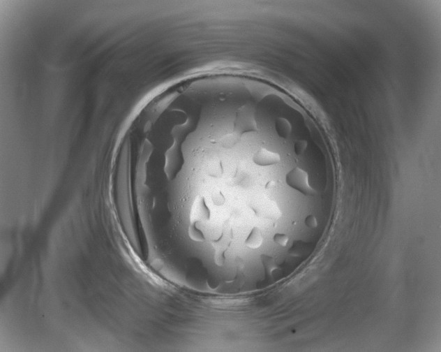 X0000080131296200612081220