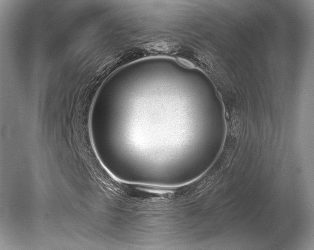 X0000080131297200612081219