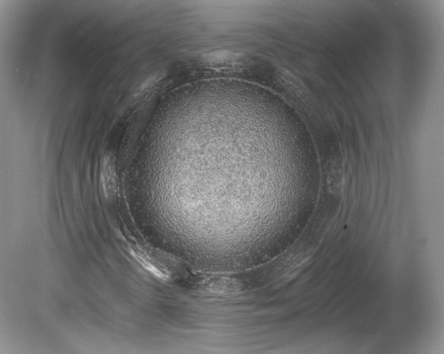 X0000080131298200612081219