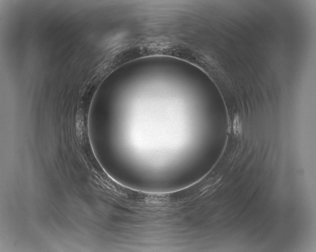 X0000080131299200612081219