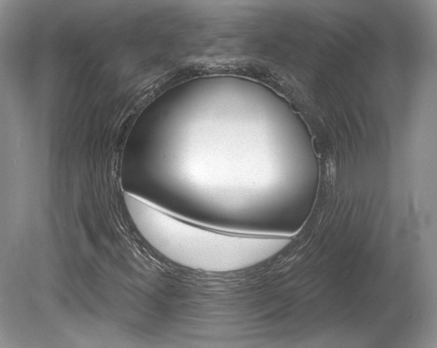 X0000080131300200612081219