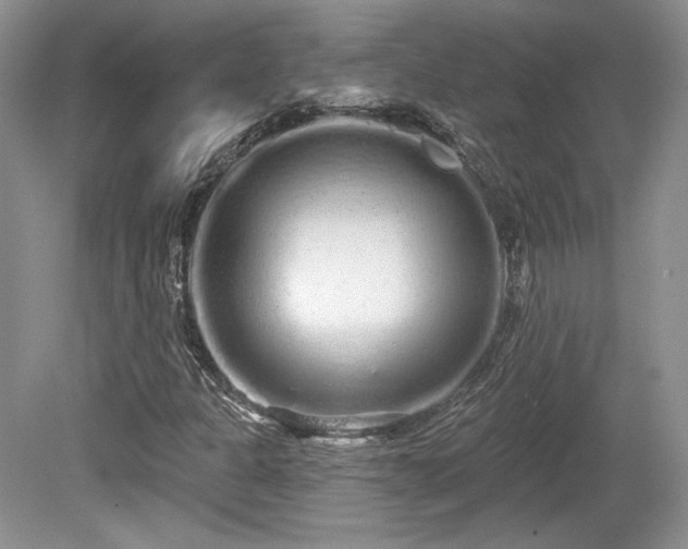 X0000080131301200612081219