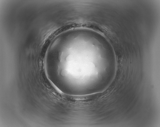 X0000080131302200612081219