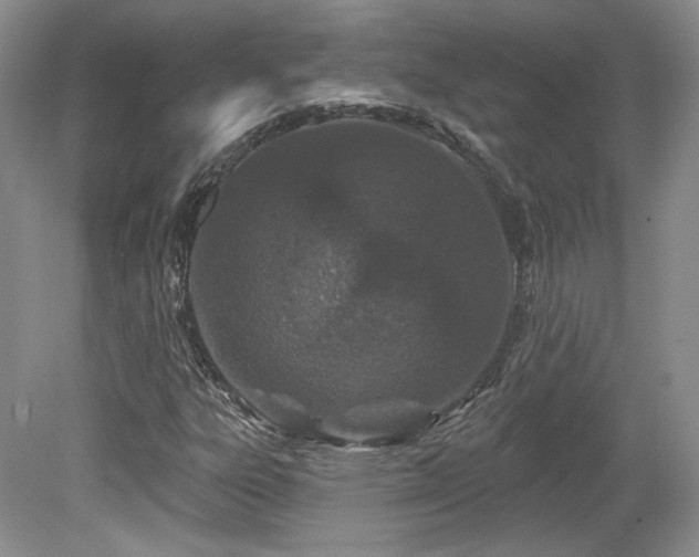 X0000080131303200612081219