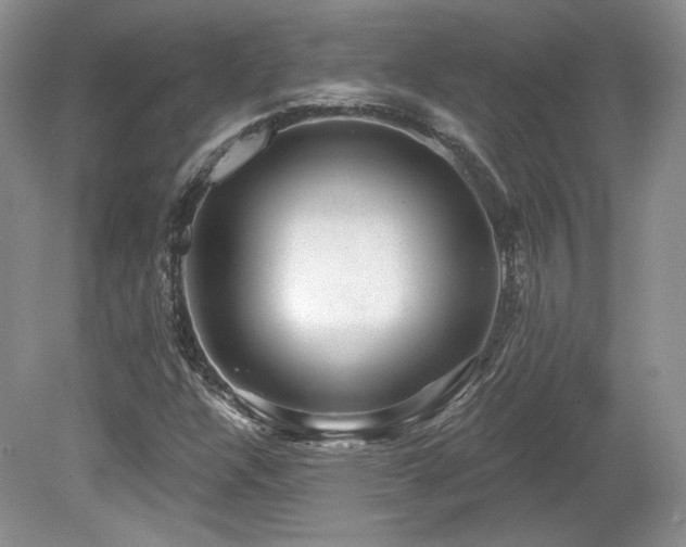 X0000080131304200612081219