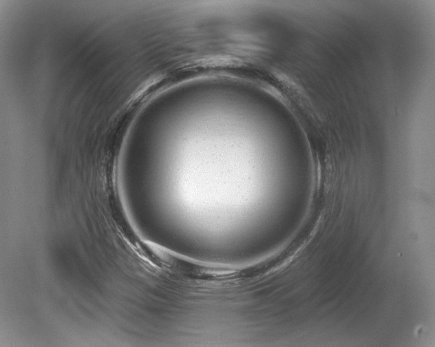 X0000080131305200612081219