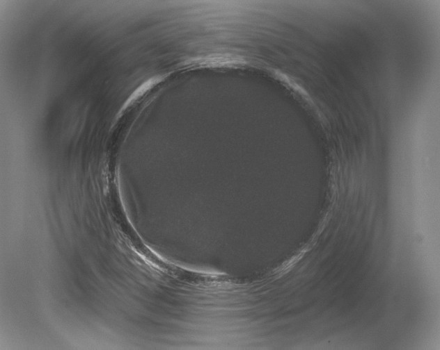 X0000080131306200612081219