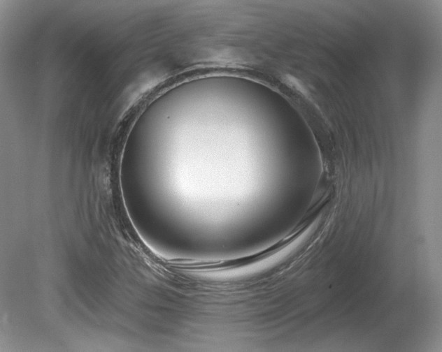 X0000080131307200612081219