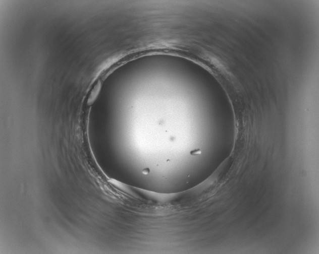 X0000080131308200612081219