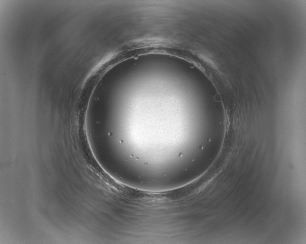 X0000080131309200612081219