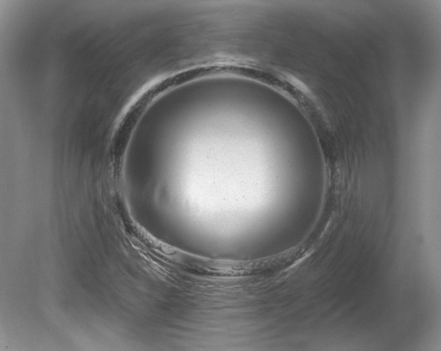 X0000080131310200612081220