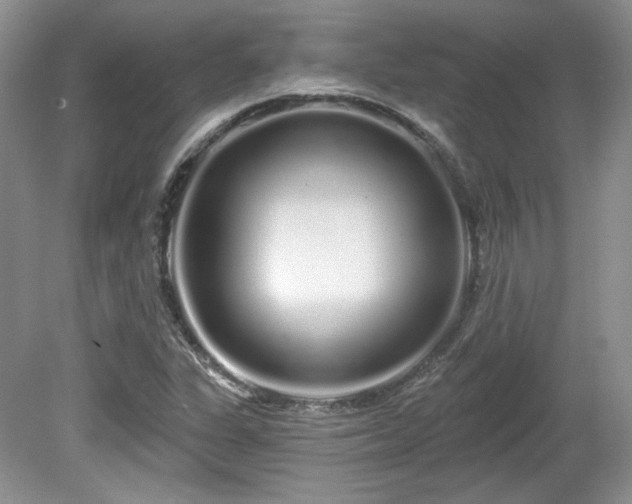 X0000080131311200612081220