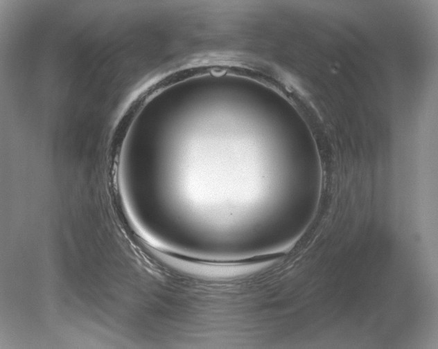 X0000080131312200612081220