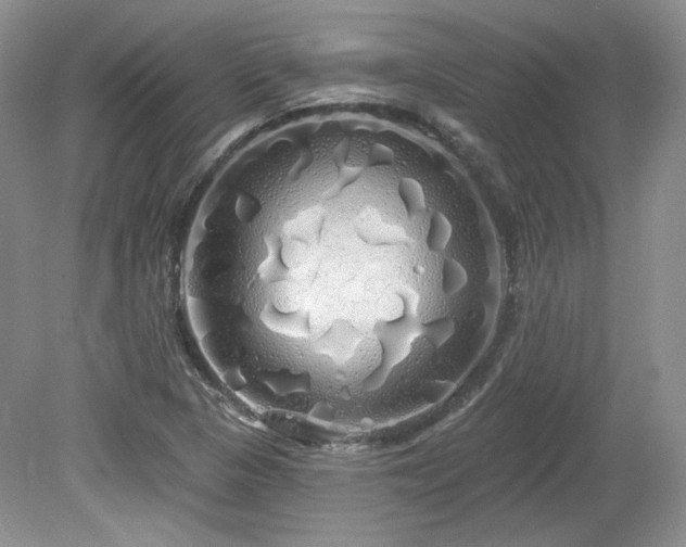 X0000080131313200612081220