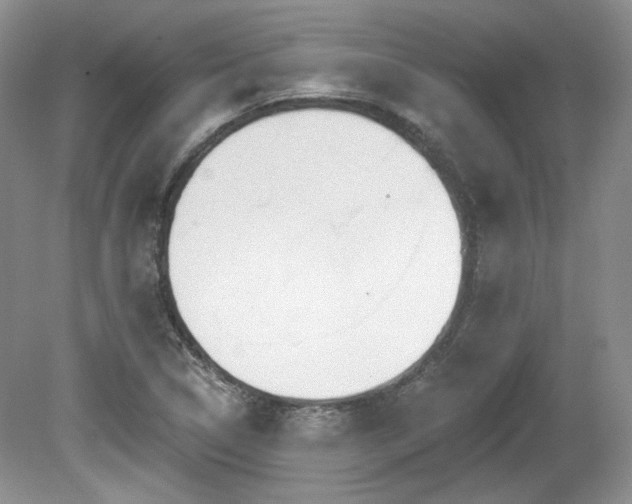 X0000080131314200612081220