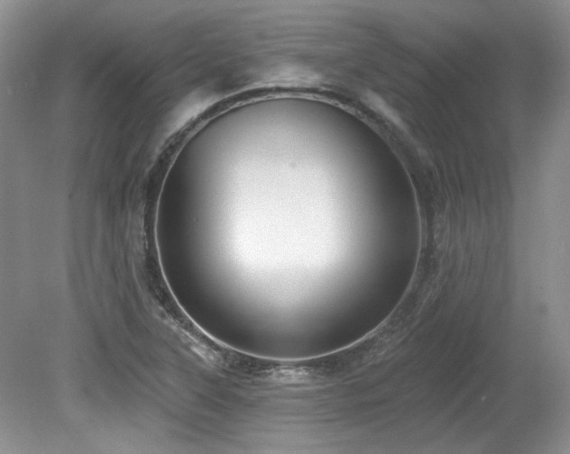 X0000080131315200612081220