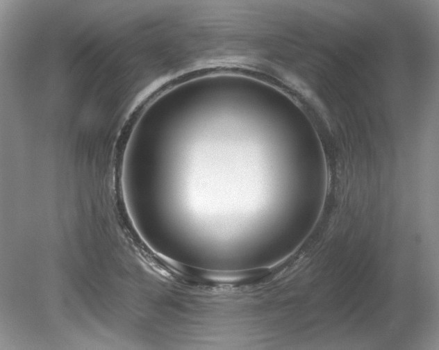 X0000080131316200612081220