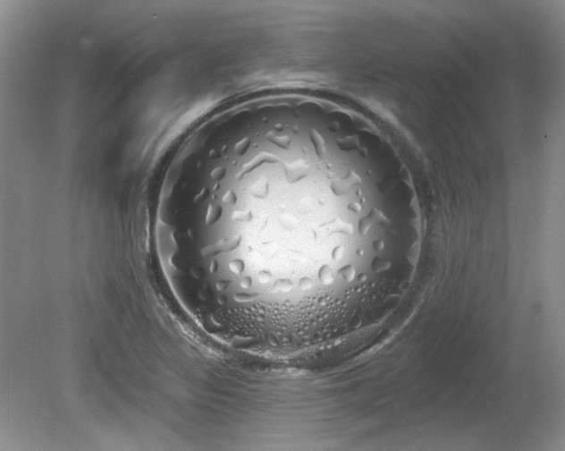 X0000080131317200612081220