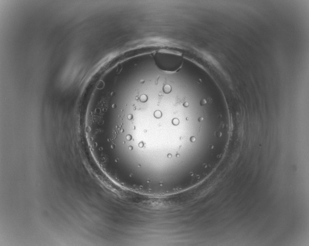 X0000080131318200612081220