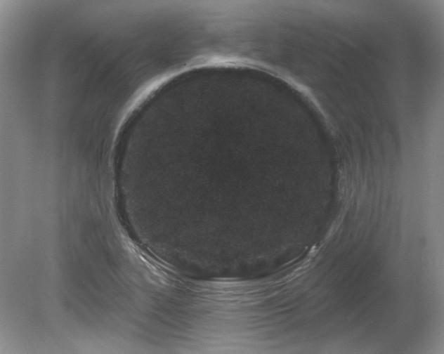 X0000080131319200612081220