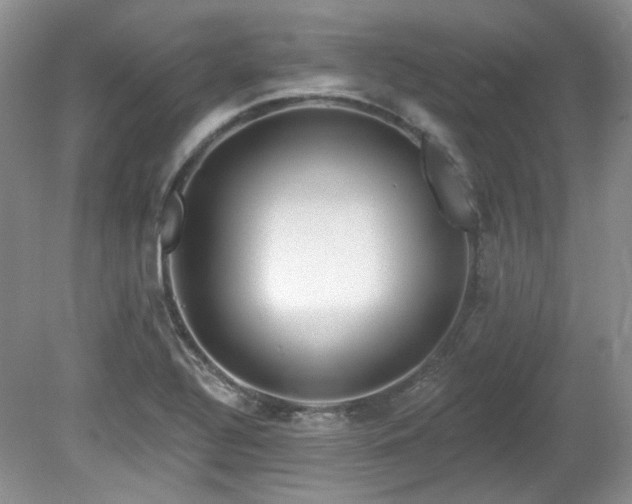 X0000080131320200612081220