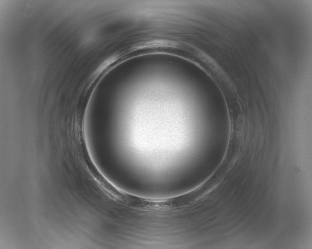 X0000080131321200612081220