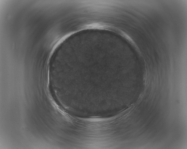 X0000080131323200612081220