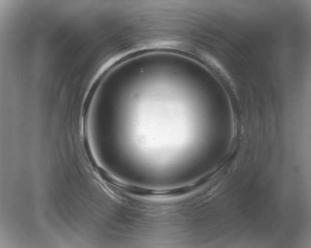 X0000080131324200612081220