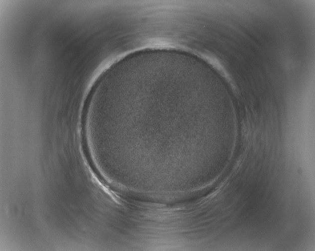 X0000080131327200612081220