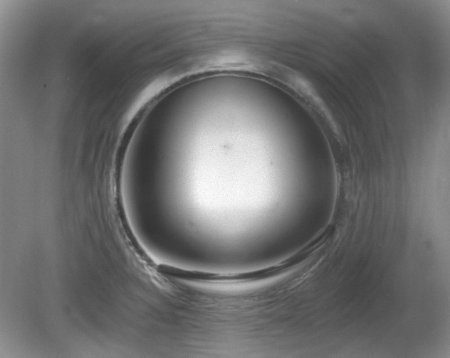 X0000080131328200612081220