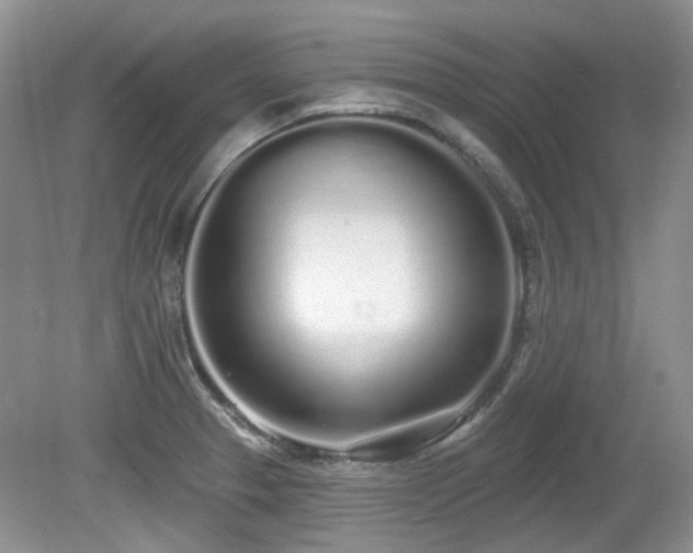 X0000080131329200612081220