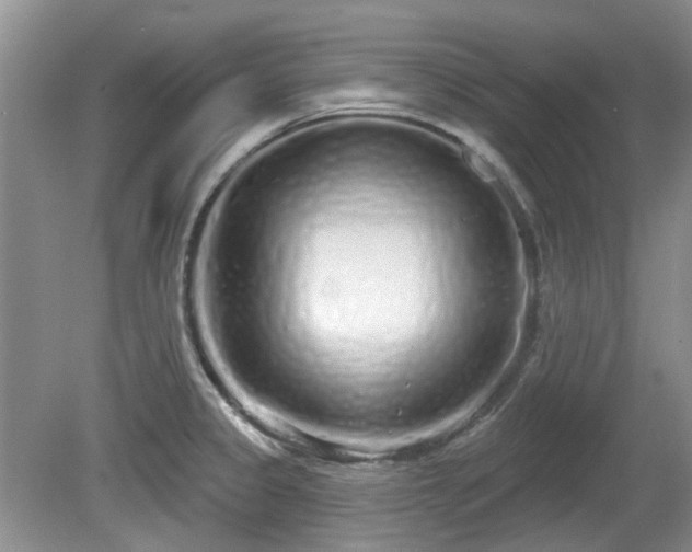 X0000080131333200612081220