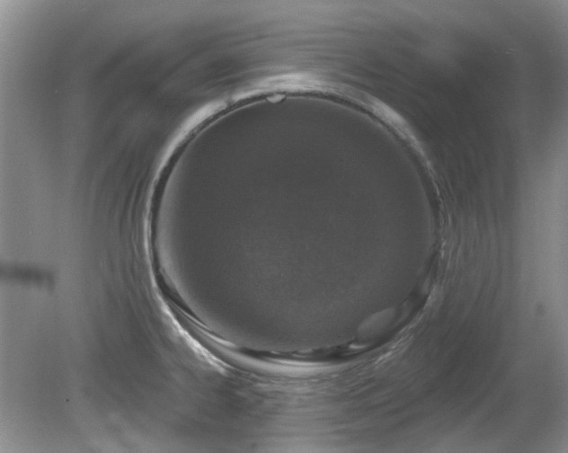 X0000080131334200612081220