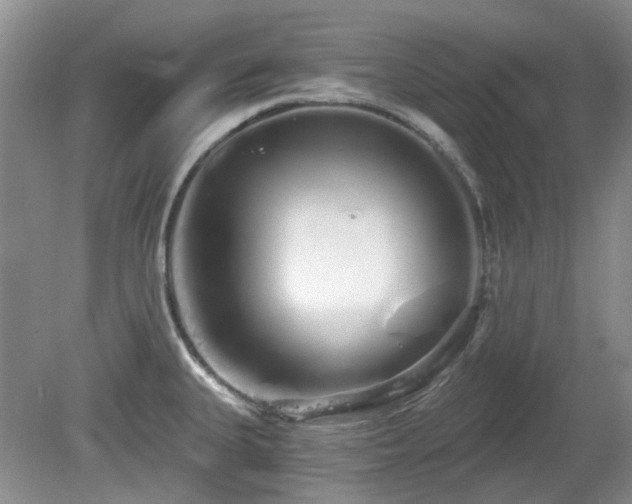 X0000080131335200612081220