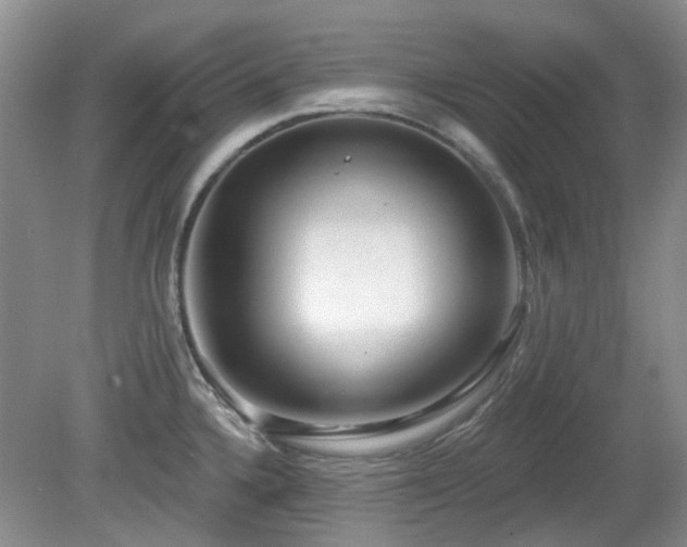 X0000080131336200612081220