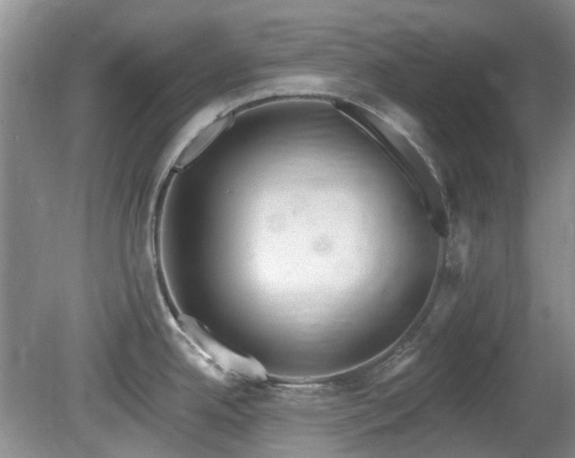 X0000080131342200612081220