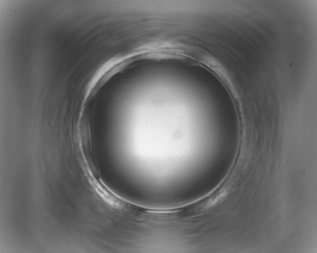 X0000080131344200612081220