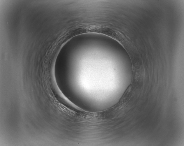 X0000080131345200612081219