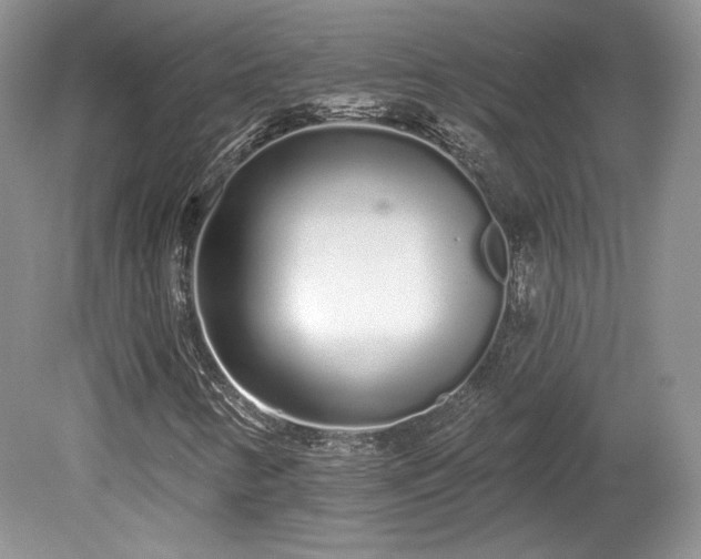 X0000080131346200612081219