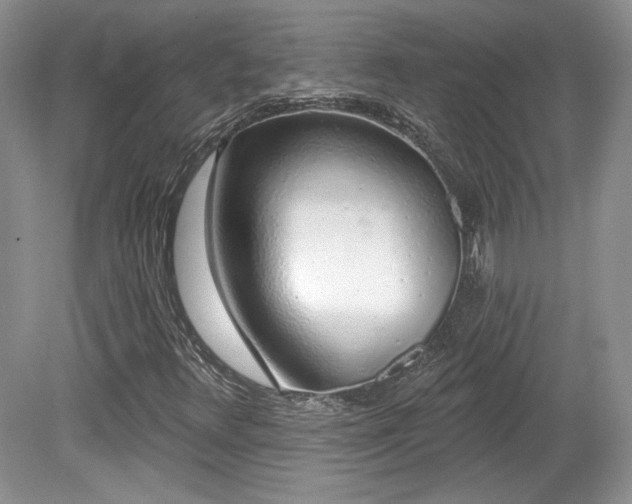 X0000080131348200612081219