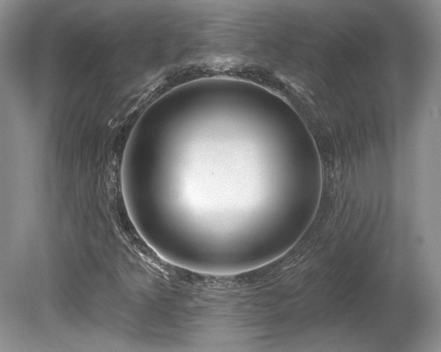 X0000080131349200612081219