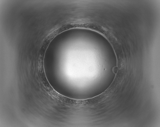 X0000080131350200612081219