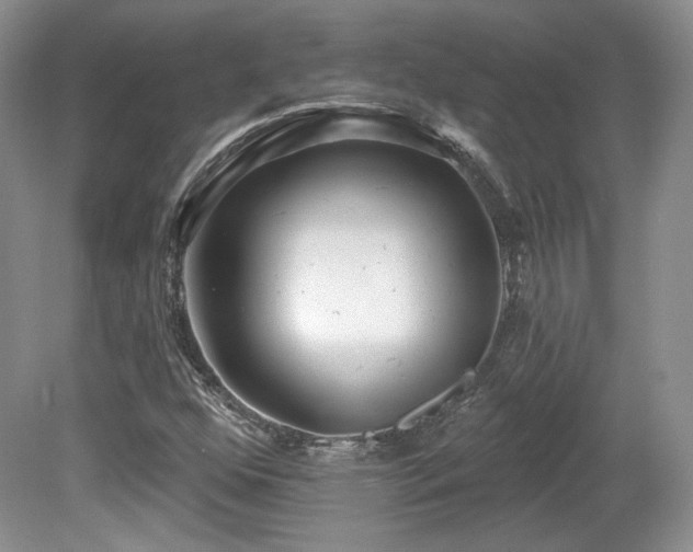 X0000080131352200612081219