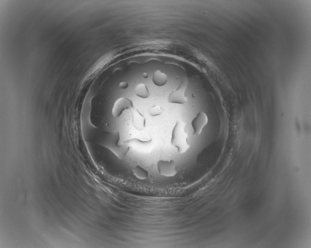 X0000080131354200612081219