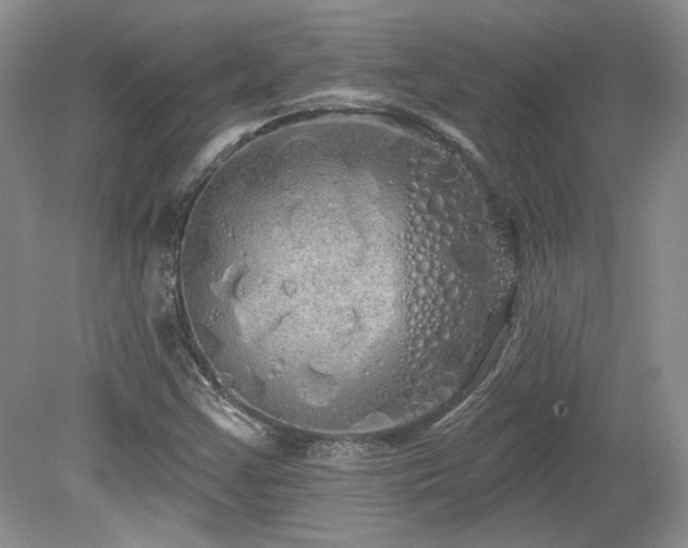 X0000080131355200612081219