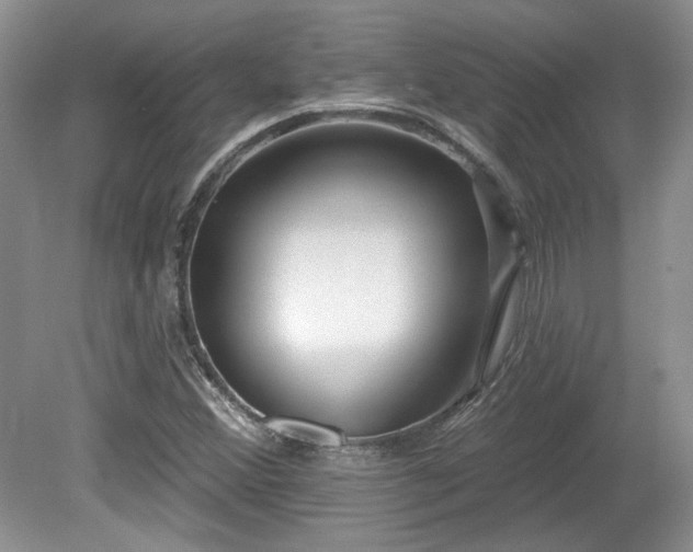 X0000080131356200612081219