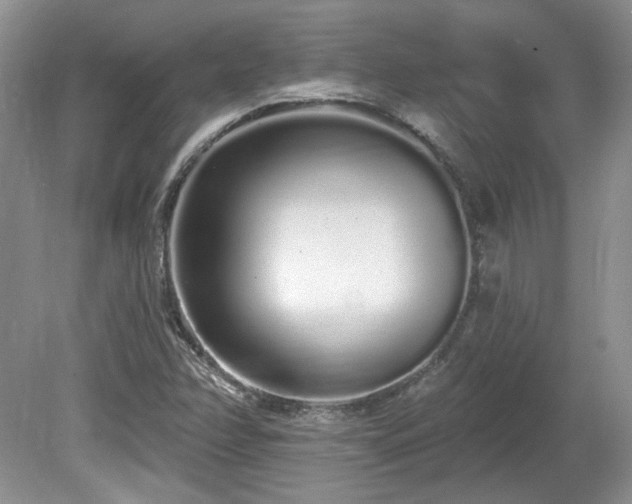 X0000080131358200612081219