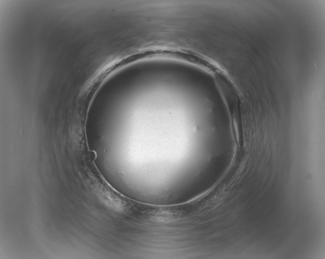 X0000080131359200612081219