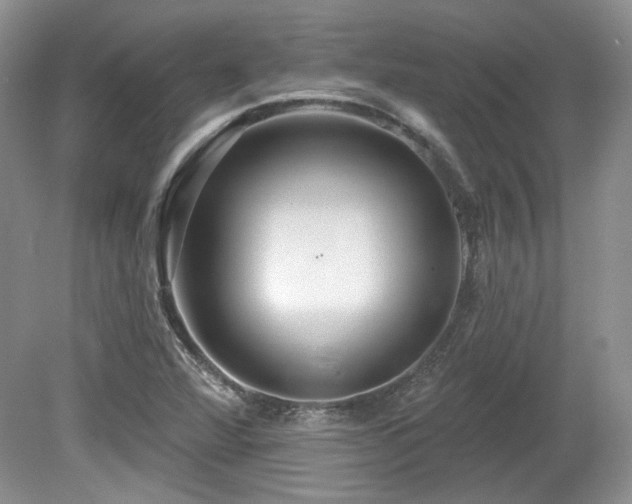 X0000080131360200612081219